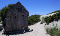 Dune Shack