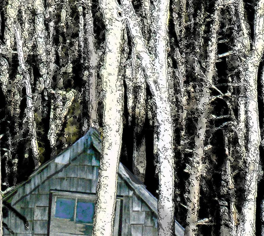 vertical forest closeup